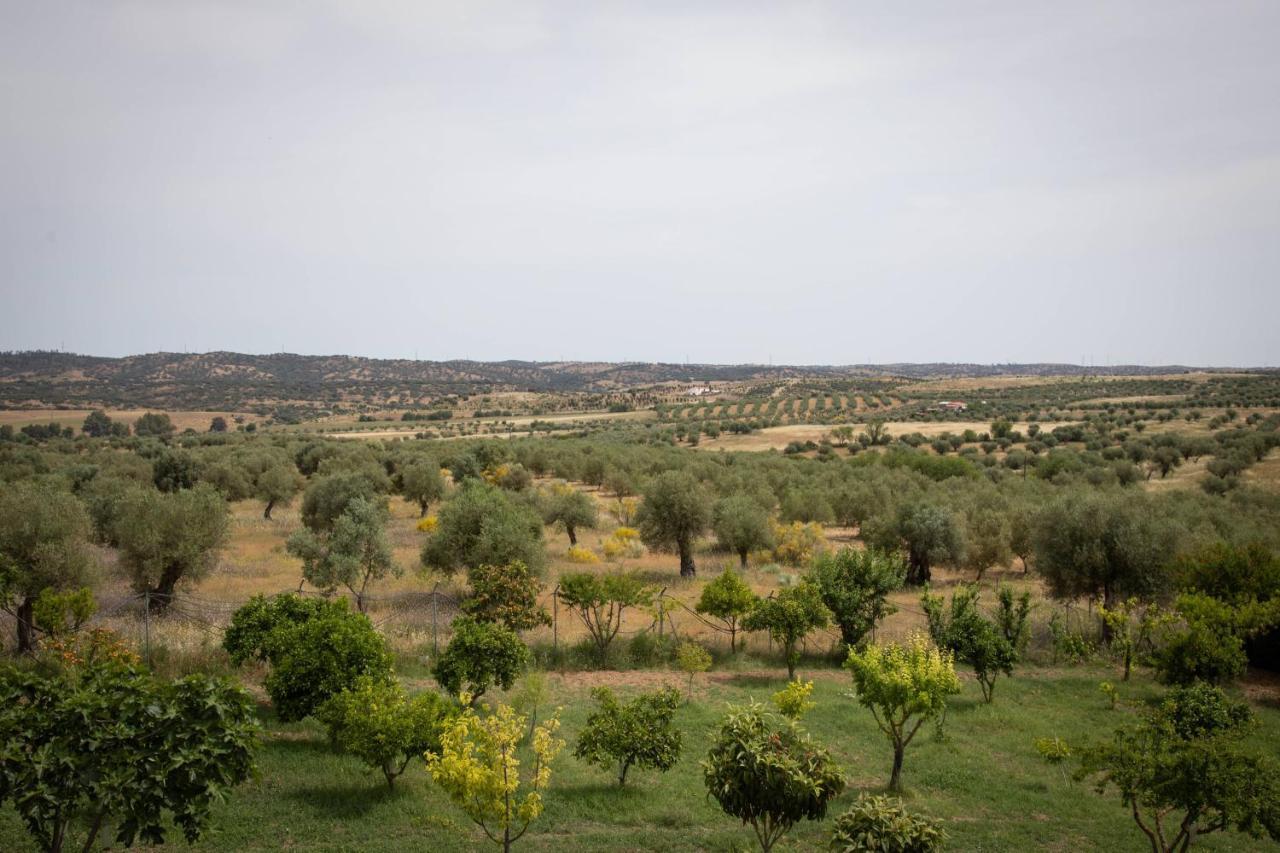 Passo Do Lobo - Turismo Rural Moura Kültér fotó
